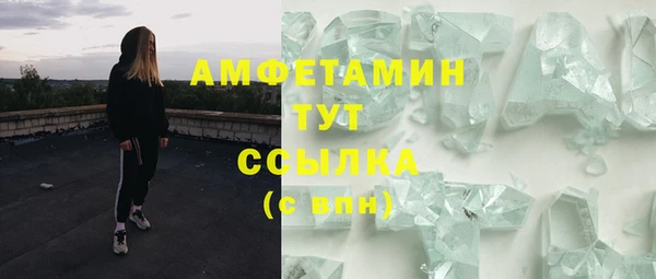 прущие грибы Абаза
